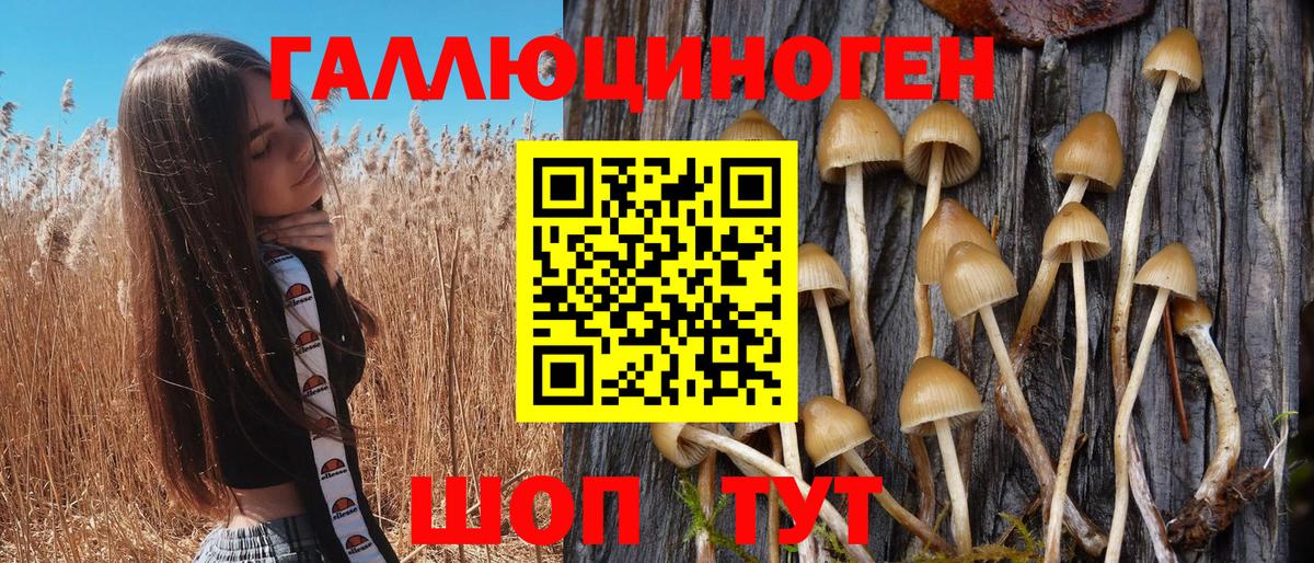 Псилоцибиновые грибы мухоморы Железногорск